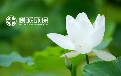 瀘州樹派環(huán)?？萍加邢薰?/></p>
                    <p class=